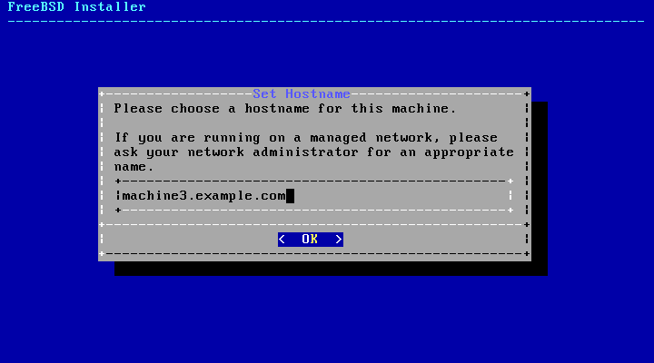 bsdinstall config hostname