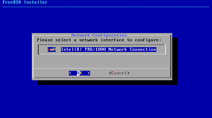 bsdinstall configure network interface