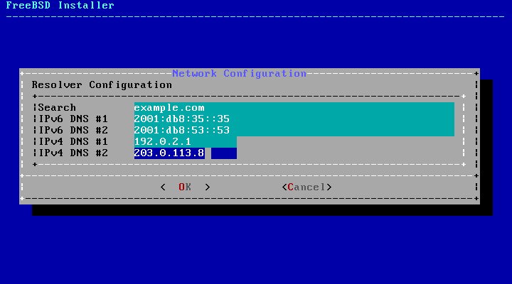 bsdinstall configure network ipv4 dns