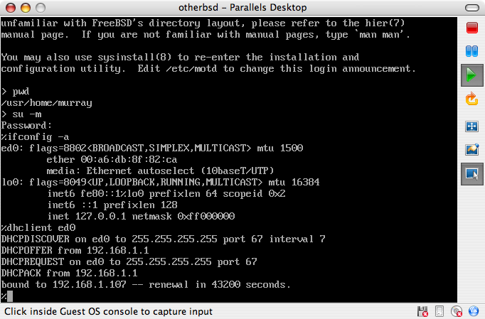 parallels freebsd13